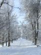 Snow-covered alley