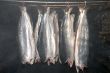 smoke room - smoking salmon