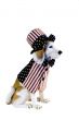 Patriotic Dog