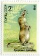 Stamps.