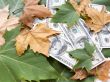 American dollars and autumn  leaves