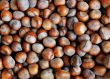 Hazelnuts