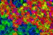 colourful background