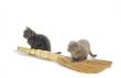 Two kitties