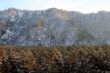 Altai Mountain with snow