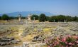 ancient columns