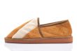 Male brown slipper