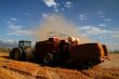 Harvest Time