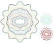Blank certificate element / money element / vector