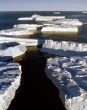 tongue of icebergs