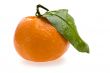 tangerine