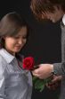 red rose for beloved girl