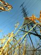 stream mast