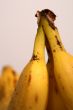 Bananas