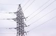 In the captivity of electricity.