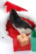 christmas search