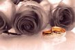 two wedding rings
