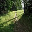 illuminate road
