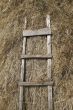 stairway and hay