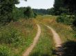 sunny road