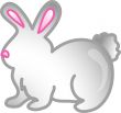 Pet rabbit icon or symbol