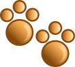 Paw print icon or syymbol