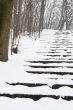 Stairs in Winter