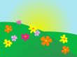 Summer meadow