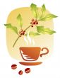 Coffee and cup