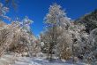 Montain Snow 4