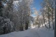 Montain Snow 3