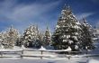 Montain Snow 2
