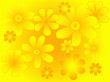 Summer flowers