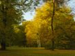 autumnal park