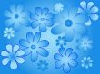 Blue flowers