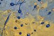 blue and gold background