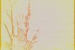 abstract background varicoloured