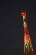 Broadcasting Pole