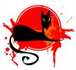 Black cat in a red frame