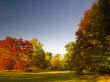autumnal park