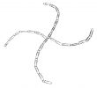 Paperclip Chain
