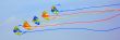 Flying Kites
