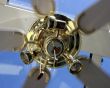 Movement of the Fan