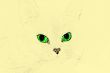abstract background scene green eye of the cat