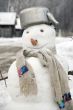 Snowball