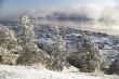 Winter landscape