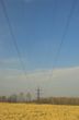 powerlines