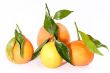 Citrus fruit collection
