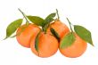 Tangerine fruit collection