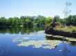 Lake And Trees